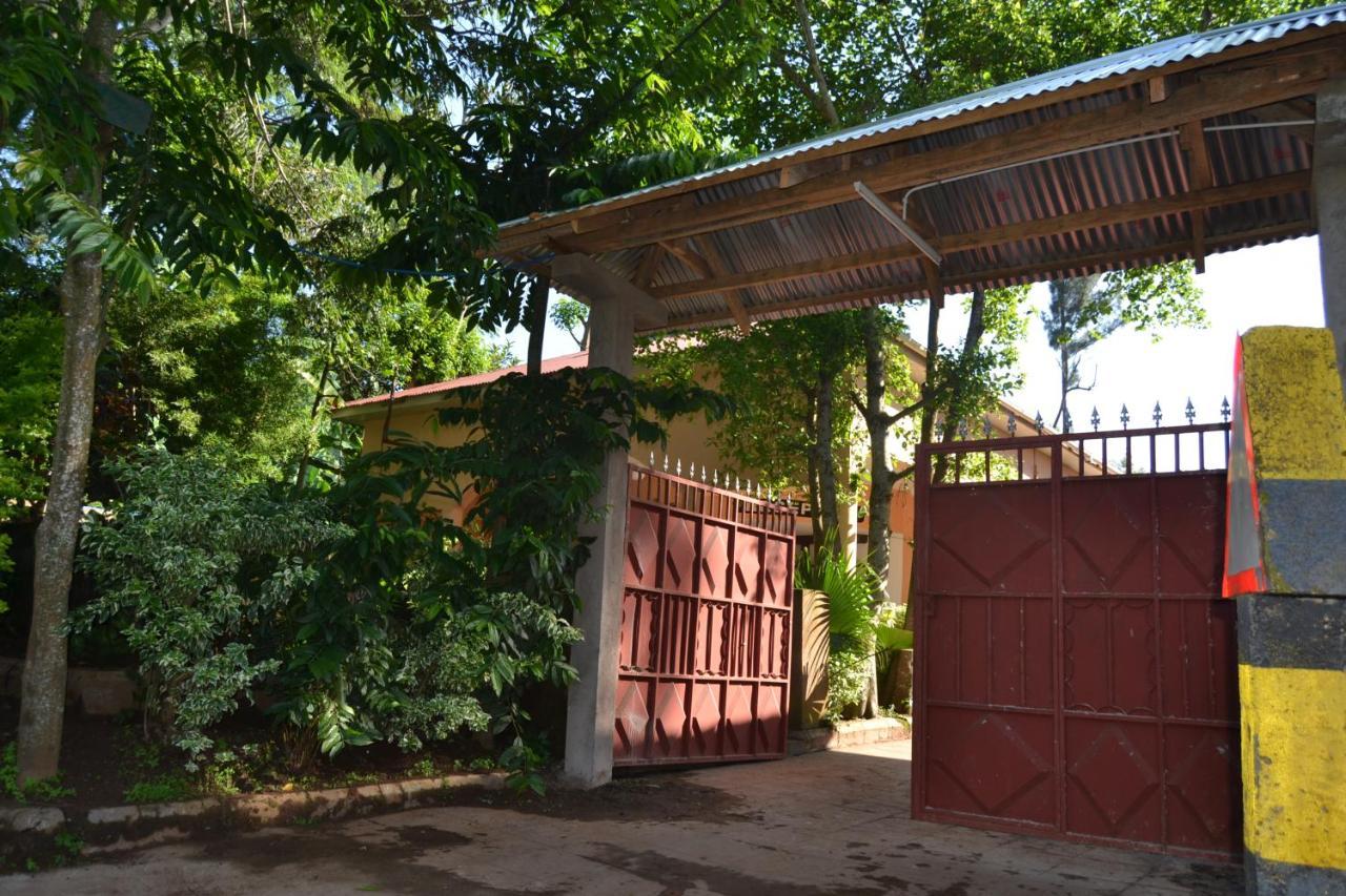 Serene Mountain Lodge Marangu Exterior photo