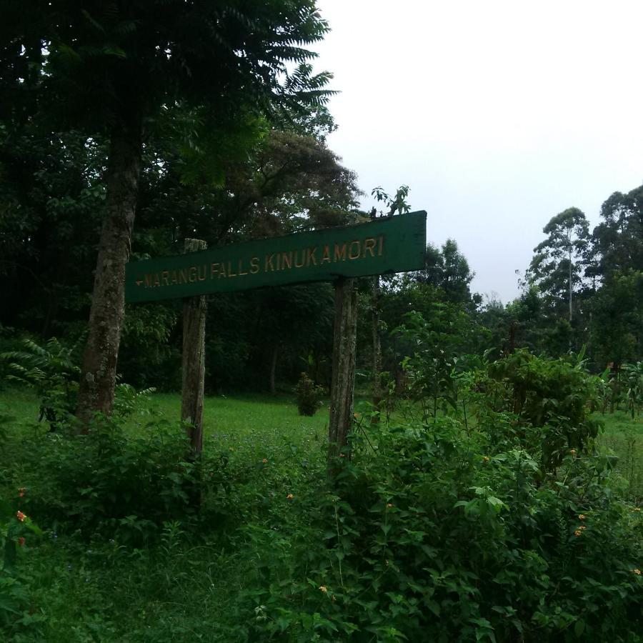 Serene Mountain Lodge Marangu Exterior photo