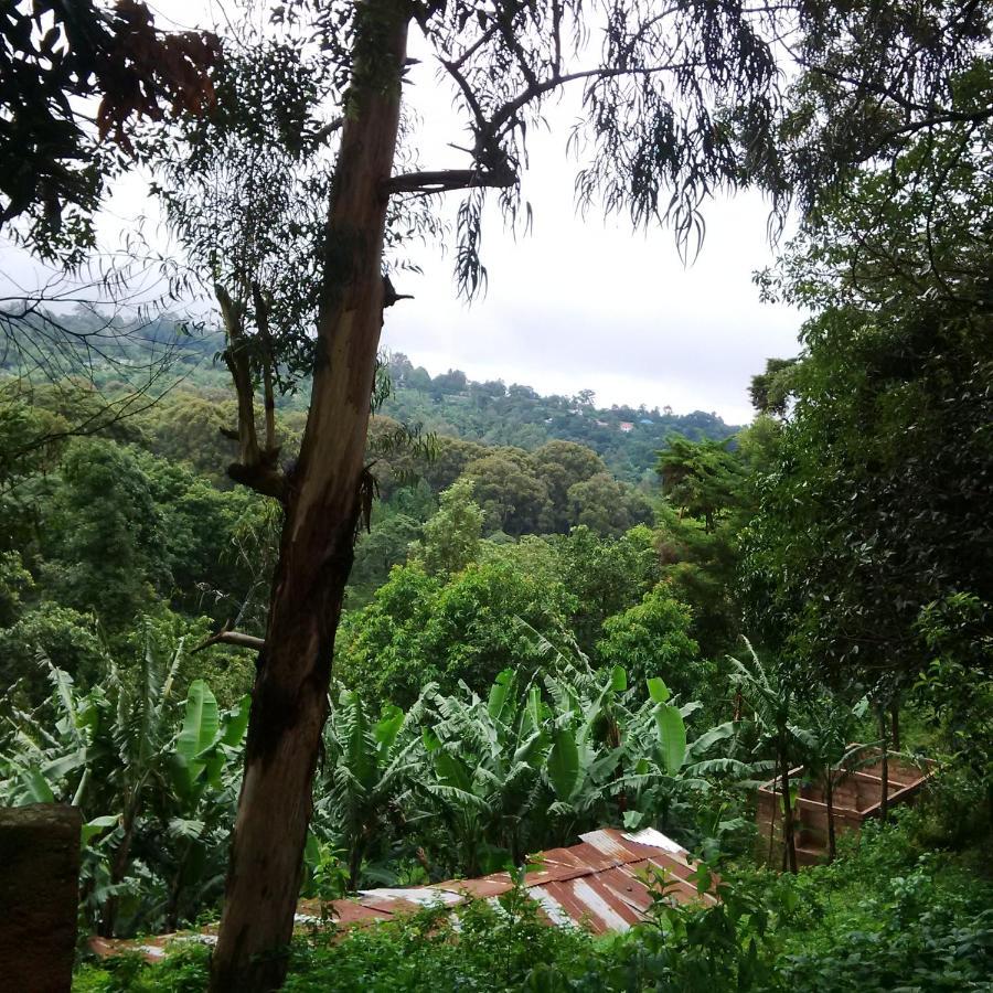 Serene Mountain Lodge Marangu Exterior photo